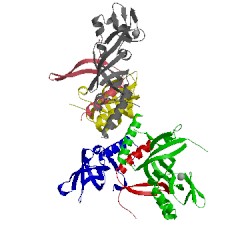 Image of CATH 1l1o