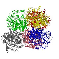 Image of CATH 1l1y