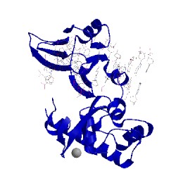 Image of CATH 1l1z