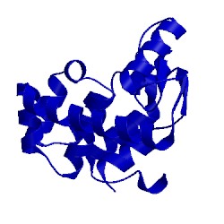 Image of CATH 1l27