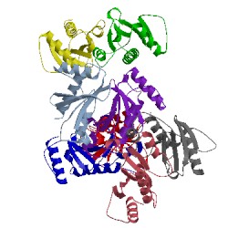 Image of CATH 1l2w