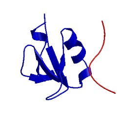 Image of CATH 1l2z