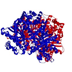 Image of CATH 1l5w