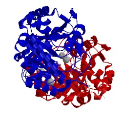 Image of CATH 1l6y