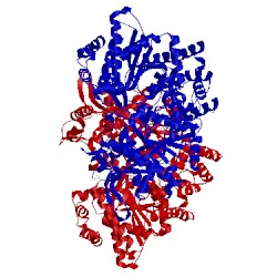 Image of CATH 1l7x