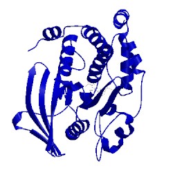 Image of CATH 1l8g
