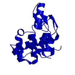 Image of CATH 1l98