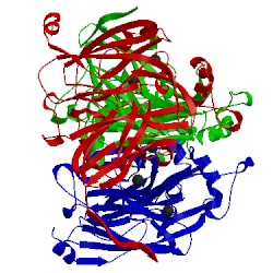 Image of CATH 1l9s