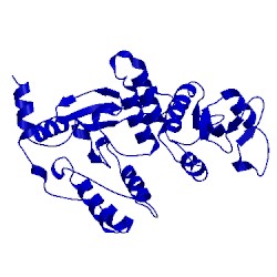 Image of CATH 1l9v