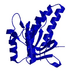 Image of CATH 1la1
