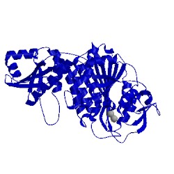 Image of CATH 1lap