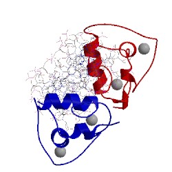 Image of CATH 1lat