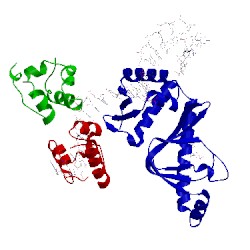 Image of CATH 1lb2