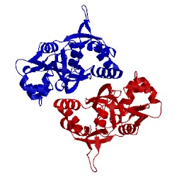 Image of CATH 1lb8