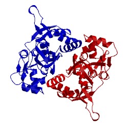 Image of CATH 1lb9