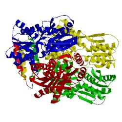 Image of CATH 1lbi