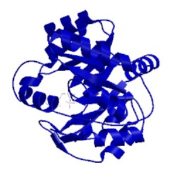 Image of CATH 1lbl