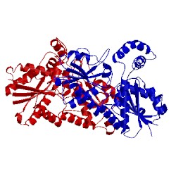 Image of CATH 1lbq