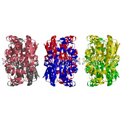 Image of CATH 1lbs