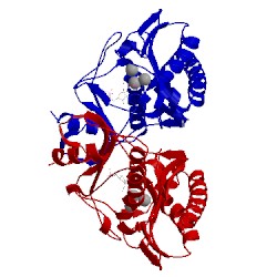 Image of CATH 1lby