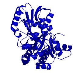 Image of CATH 1lc7