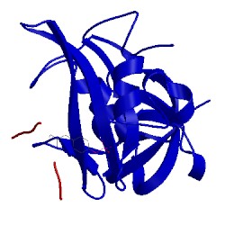 Image of CATH 1lck