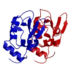 Image of CATH 1lcn