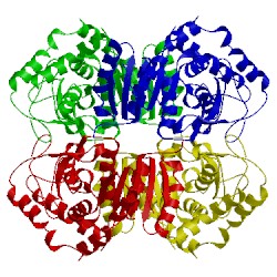 Image of CATH 1ldb