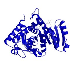 Image of CATH 1ldg