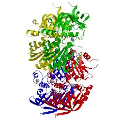 Image of CATH 1ldy