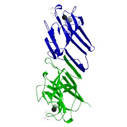 Image of CATH 1les