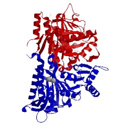 Image of CATH 1lev