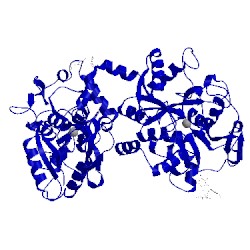 Image of CATH 1lfg