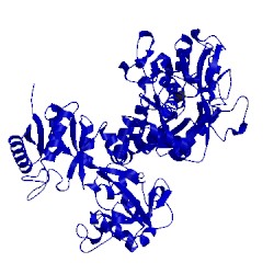 Image of CATH 1lfh