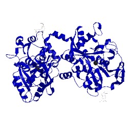 Image of CATH 1lfi