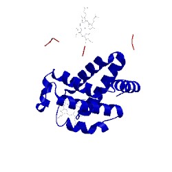 Image of CATH 1lft