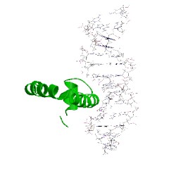 Image of CATH 1lfu