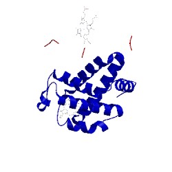 Image of CATH 1lfy