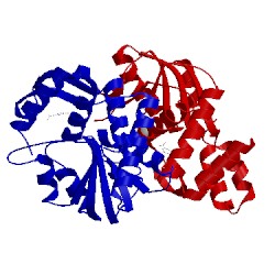 Image of CATH 1lh0