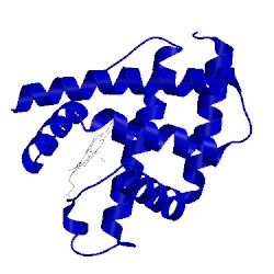 Image of CATH 1lh3