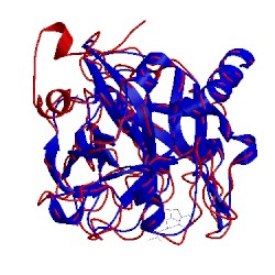 Image of CATH 1lhc