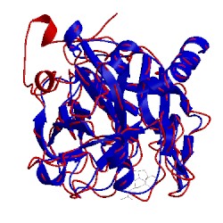 Image of CATH 1lhd