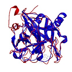 Image of CATH 1lhe