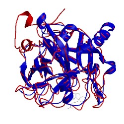 Image of CATH 1lhf