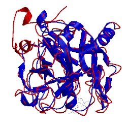 Image of CATH 1lhg