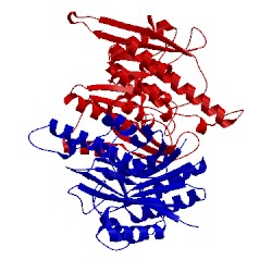 Image of CATH 1lhp