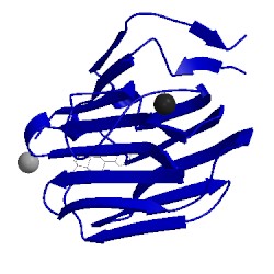 Image of CATH 1lhv