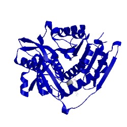 Image of CATH 1lii
