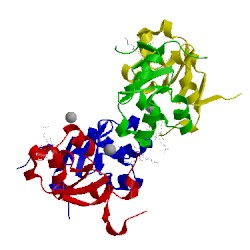 Image of CATH 1lj0