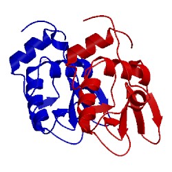 Image of CATH 1lj3